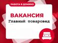 Вакансия: Главный товаровед в компанию Домино Мы ищем специалиста с высоким уровнем профессионализма, отличным знанием 1С 8 и опытом работы в сфере складского учета.