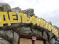 Официант в кафе «Дельфинарий»