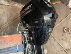 Mercury EFI 20