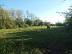 Продается участок в 5 минутах от Моря