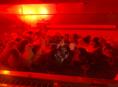Продаются цыплята мясо-яичная порода двухнедельные 200 р  +79407263285(ватсап) +79409517293(мобильная связь) В наличие есть и 5 дневные 160 р