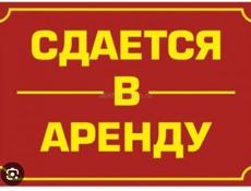 торговая точке в новом афоне, пещера 
