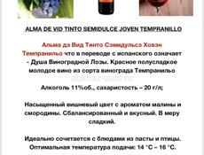 Вино Испанское