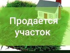 Алахадзы Пицунда 