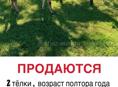 ПРОДАМ 