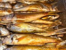 БАРАБУЛЯ ВЫСШЕГО КАЧЕСТВА! 🐠🔥🔥🔥
