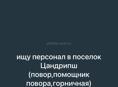 цандрипш,писать на вацап 
