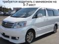 Требуется водитель для регулярного трансфера