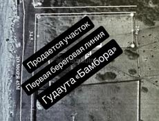 28 Соток Бамбора
