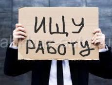 ищу работу