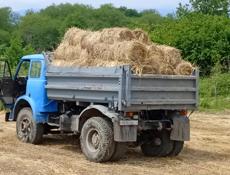 Сено в тюках