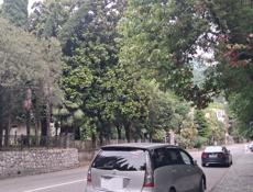 Mitsubishi Grandis