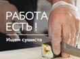Ищу сушиста 