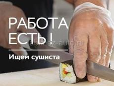 Ищу сушиста 