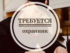 Срочно требуется охранник 