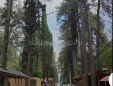 Кафе на кипариске