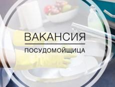 Посудница
