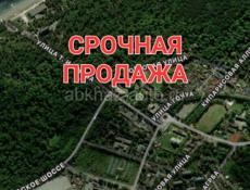 ТОЛЬКО СЕГОДНЯ, СРОЧНО