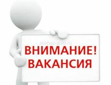 Нужен работник 🚨 