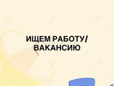 ищем работу 