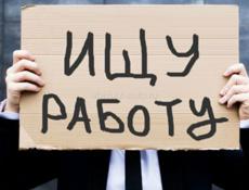 Ищу работу 