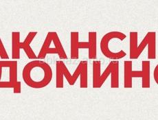 Вакансия: Кладовщик  на склад  Домино 