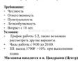 Продавец консультант Цандрыпш