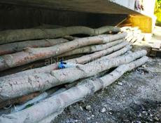 Продам колышки большие по 60руб (акация) 55 шт
