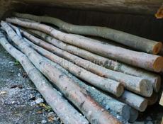 Продам колышки большие по 60руб (акация) 55 шт