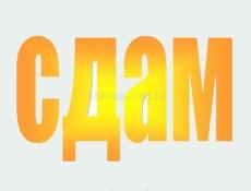 Сдаю