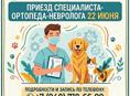 🐾 Прием ветеринарного ортопеда-невролога!