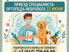 🐾 Прием ветеринарного ортопеда-невролога!