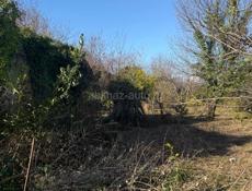 20 соток Ачадара