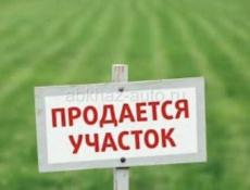 Ачадара 20 соток 