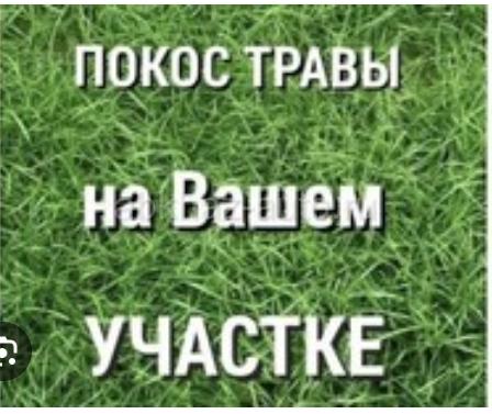 Покос травы писат  на WhatApp