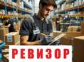 Ревизор
