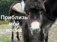 продаю 11 айфон на разбор 