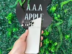 iPhone 12 Pro Max  🔋100%