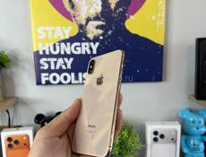 iPhone XS 256 g 🔋100%