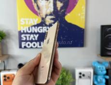 iPhone XS 256 g 🔋100%
