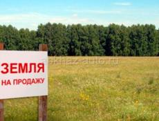 Участок Белая Речка 
