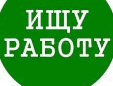 Ищу работу / Подработку (16 лет)