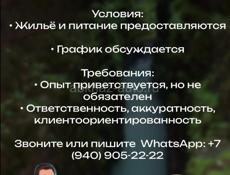 ВАКАНСИЯ