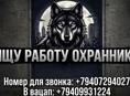 Ищу работу 