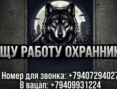 Ищу работу 