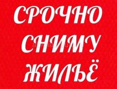 Сниму жильё 