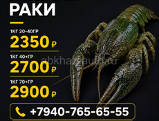 Живые раки. Доставка, по всей Абхазии 🦞 