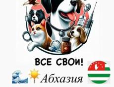 Ветеринарный врач 