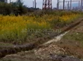Участок по дороге в Пицунду