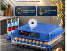 инкубатор 